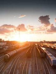 One Pregnancy, Two B