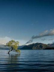 Rebirth of the Urban