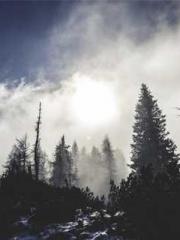 Omnipotent Mad Young