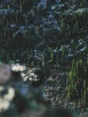 Chen Pingapos;an and