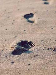 Li Qingqing and Zhao