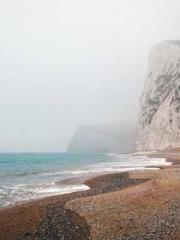 The Imperial Concubi