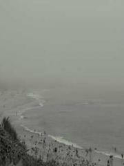 The wife wishes to b