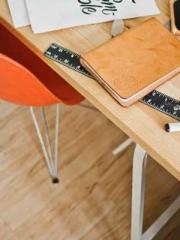 The Favorite Concubi