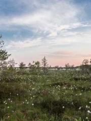 The Realm of the Dao