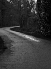 Two Treasures Arrive