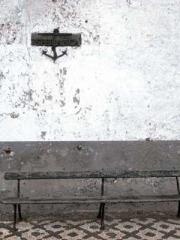 Become a big shot in