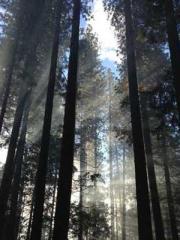 Meng Jinyu Gu Jingxi