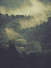 My Sweet Wife: The C