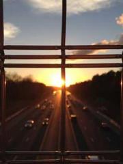 lt;gt;The son of a w