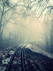 A Wifeapos;s Plea fo