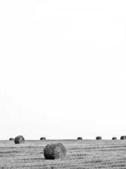 lt;lt;The Heavenly D