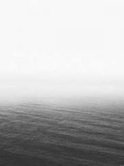 Reborn in the Apocal