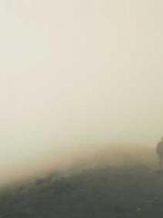 lt;Marry at first si