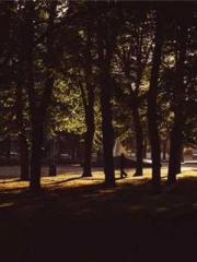 One Pregnancy, Two B