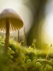 lt;lt;lt;lt;Good-loo