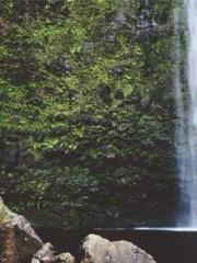 Rong Zhao Nanning Yu