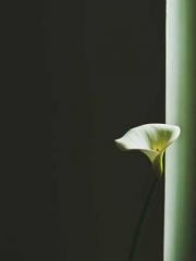 Fast Travel: The Big