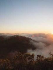 The Ugly Womanapos;s