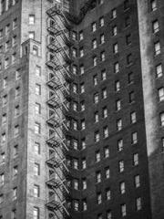 The Rebirth of a Phy