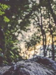 Unbound by any rules