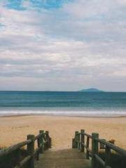 lt;lt;lt;Visionary S