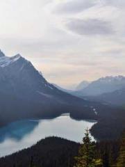 lt;lt;Know Green, Do