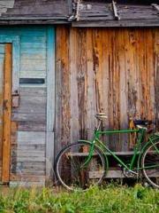 lt;Ye Qingyun, Tiany