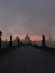 One Night Marriage P