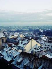 My Amazing Female Te